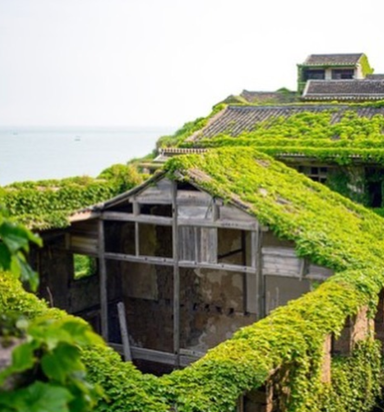 Смотрите, как выглядит заброшенное село-призрак, которое полностью поглотила природа: фото и видео